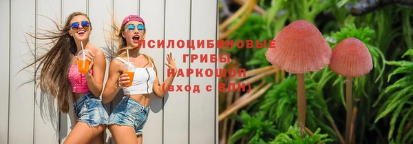 мескалин Бородино