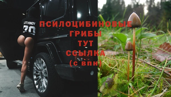 мескалин Бородино